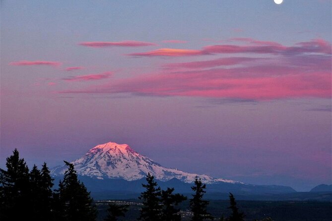 Small Group Tour in Mt Rainier With Air-Conditioned Van Transfer - Inclusions and Additional Details
