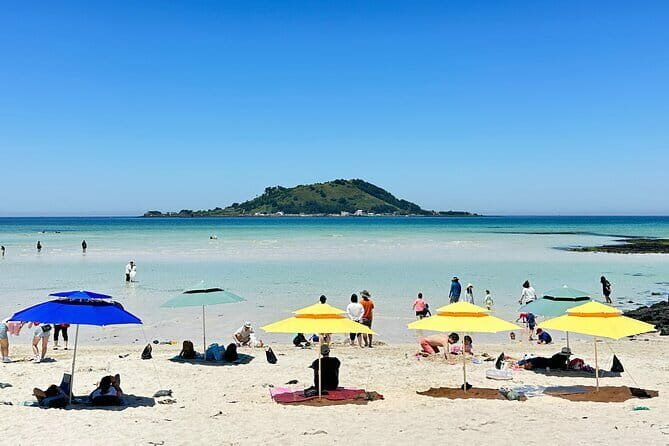 Small Group Tour in West Jeju Healing Island w/Caves & Dolphins - Key Points