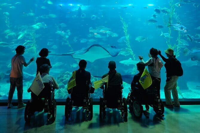 Small Group Tour in West Jeju Healing Island w/Caves & Dolphins - Who Should Consider This Tour?