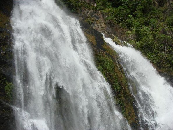 Small Group Tour Kuranda via Bus & Kuranda Scenic Rail - Key Points
