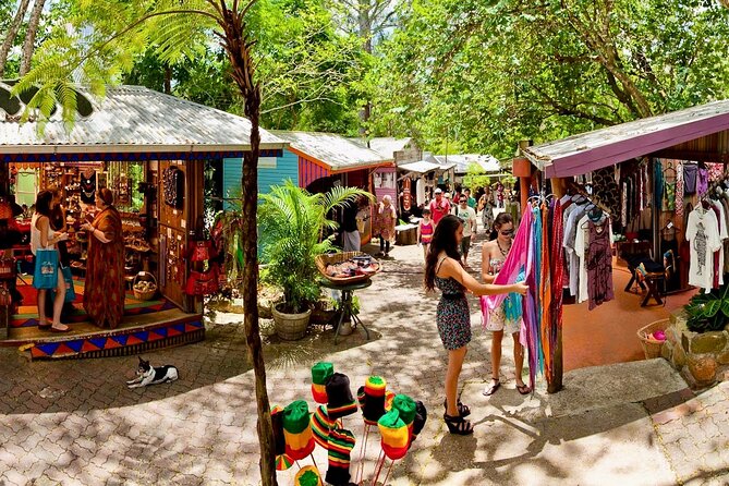 Small Group Tour Kuranda via Bus & Kuranda Scenic Rail - Optional Attractions