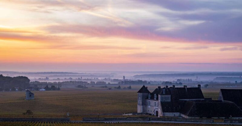 Small Group Tour Morning in Cote De Beaune - Inclusions and Highlights