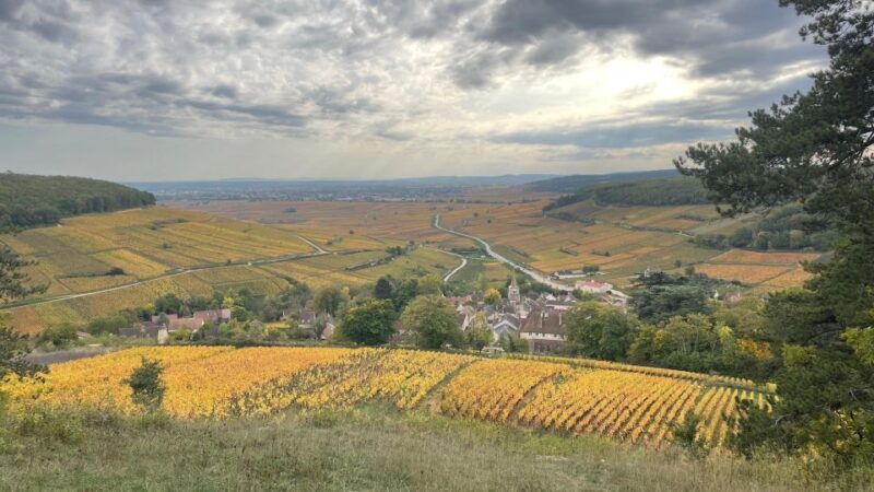 Small Group Tour Morning in Cote De Beaune - Booking Information