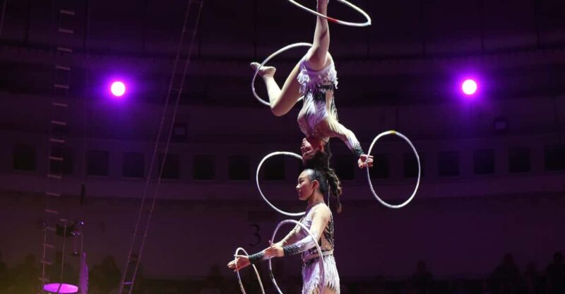 Small Group Tour Of Acrobatics Show And Peking Opera Show - Acrobatics Show Details
