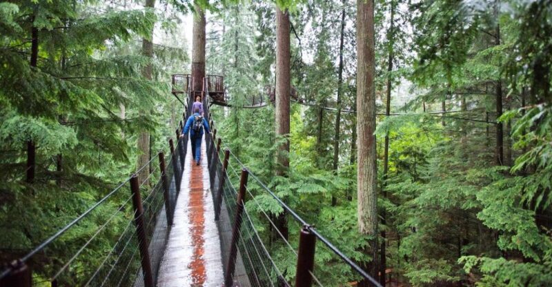 Small Group Tour of Capilano Bridge & Grouse Mountain - Guided Experience