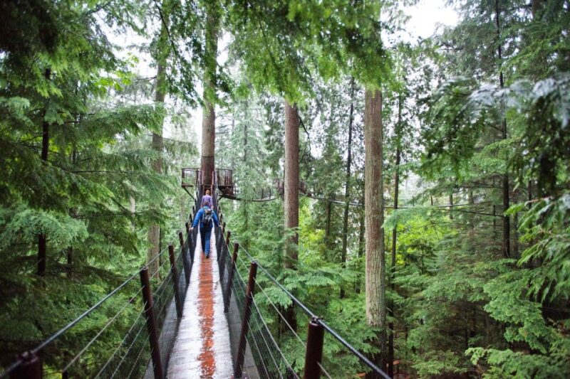 Small Group Tour of Capilano Bridge & Grouse Mountain - Transportation and Pickup