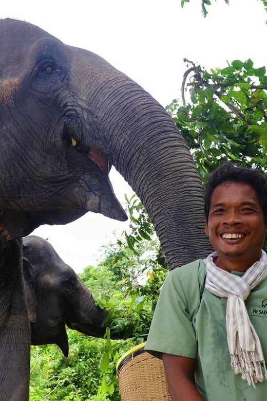 Small Group Tour of Kulen Elephant Forest in Siem Reap - Experience Highlights