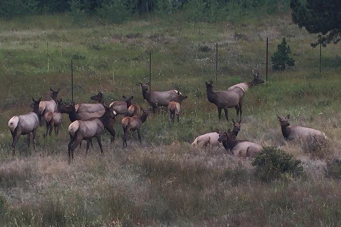 Small-Group Tour of the Rocky Mountain National Park From Denver - Park Highlights and Attractions