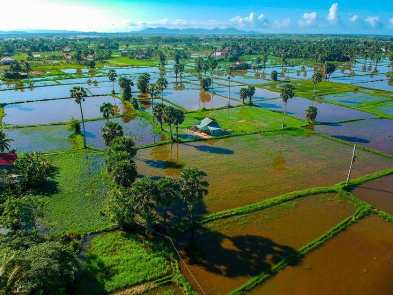 Small Group Tour: One Day Phnom Penh to Kampot & Kep - Important Information