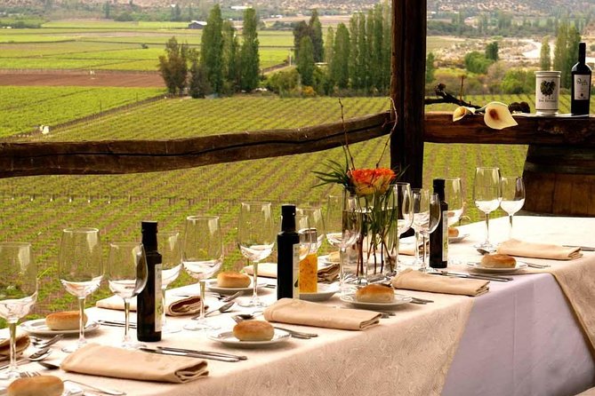 Small-Group Tour: Portillo Ski Center, Inca Lagoon Plus Premium Wineries in Aconcagua Valley - Premium Wineries in Aconcagua Valley