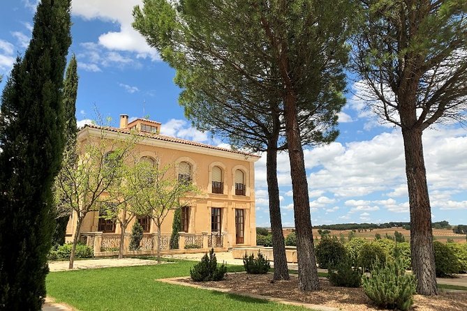 Small Group Tour - Ribera Del Duero Super Taster With Lunch - Gourmet Lunch