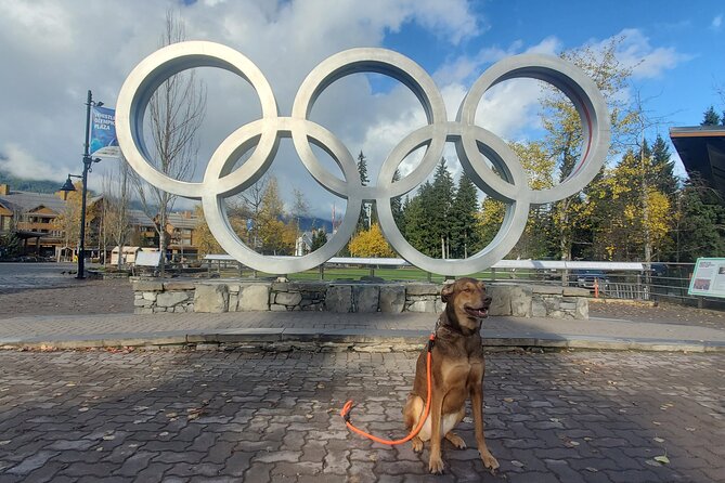 Small Group Tour: Sea to Sky Gondola & Whistler - Inclusions