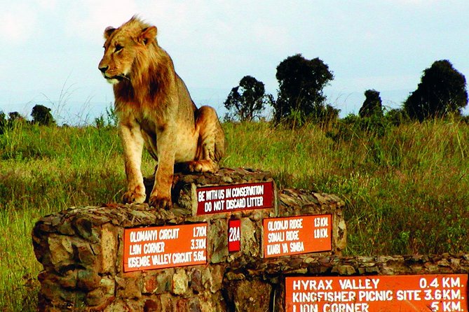 Small Group Tour to Nairobi Park Baby and Optional Baby Elephants - Booking Confirmation