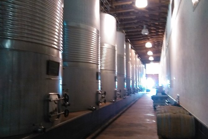 Small Group Tour to Toledo, Windmills & Winery Tour With Lunch - Traveler Reviews