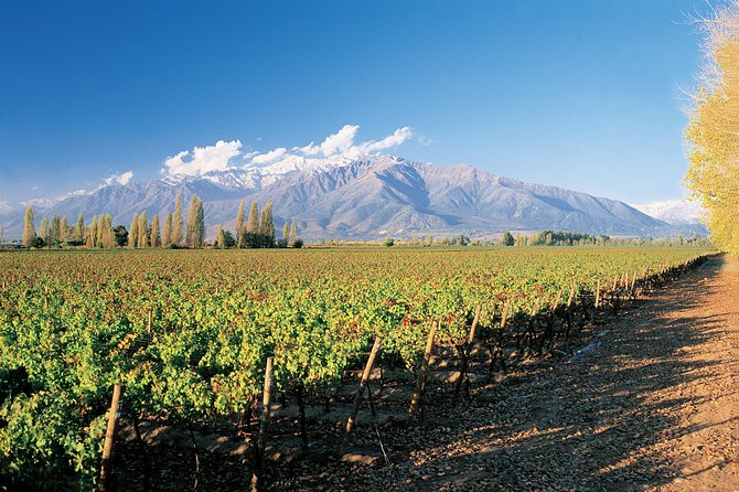 Small-Group Tour to Viña Del Mar and Valparaiso From Santiago - Wine Tasting Experience