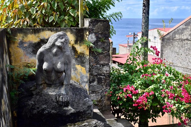 Small-Group Tour: Unmissable Martinique With St Pierre and More - Guest Reviews and Feedback