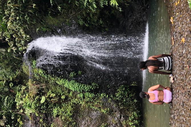 Small-Group Tour: Unmissable Martinique With St Pierre and More - Historical Ruins Exploration