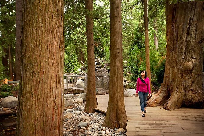 Small Group Tour: Vancouver Sightseeing and Capilano Suspension Bridge - Whats Included