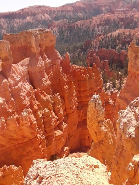 Small Group Tour Zion & Bryce Canyon National From Las Vegas - Transportation Details