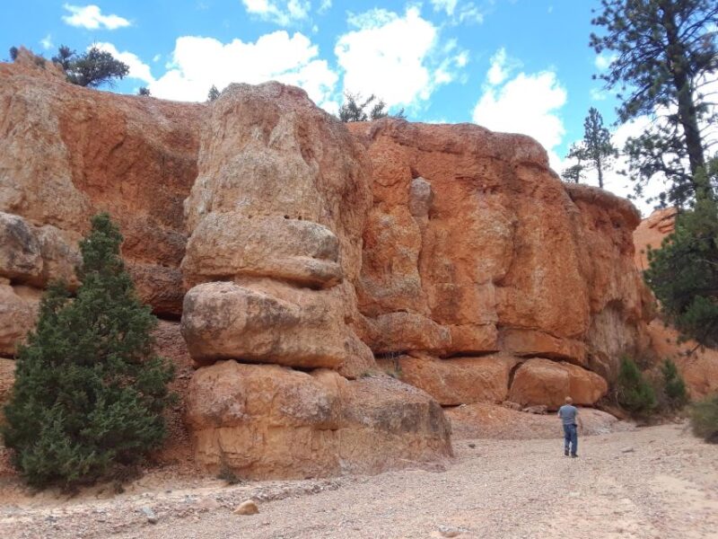 Small Group Tour Zion & Bryce Canyon National From Las Vegas - Important Information