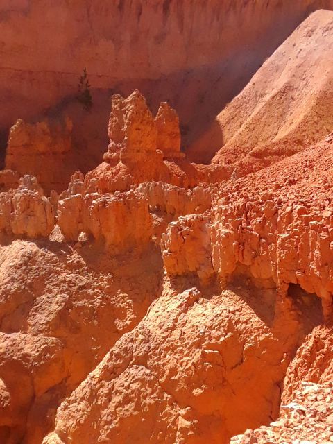Small Group Tour Zion & Bryce Canyon National From Las Vegas - Tour Pricing