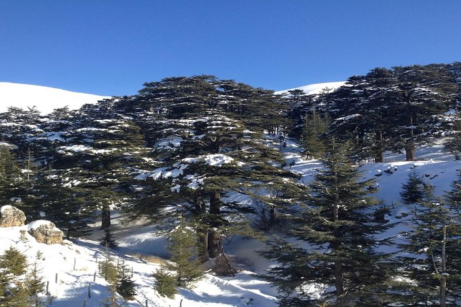 Small Group Tours to Qadisha Valley, Bcharre and Cedars With Lunch and All Fees - Additional Details
