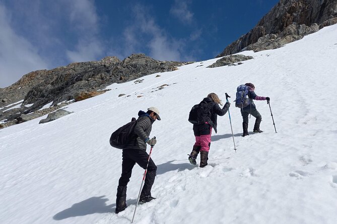 Small Group Trekking to Albino Glacier - Meeting and Pickup Information