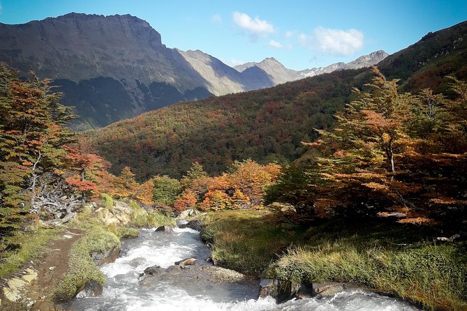 Small Group Trekking to Vinciguerra Glacier and Témpanos Lagoon - Lagoon and Glacier Views