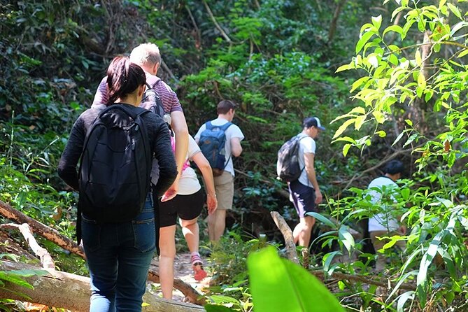 Small Group : Trekking Trip in Chiang Mai (Doi Suthep Area) With Market Tour - Itinerary and Activities