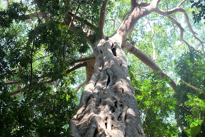 Small Group : Trekking Trip in Chiang Mai (Doi Suthep Area) With Market Tour - Discovering Doi Suthep Temple