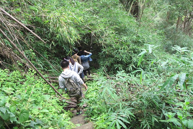 Small Group : Trekking Trip in Chiang Mai (Doi Suthep Area) With Market Tour - Trekking to Monthathan Waterfall