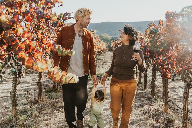 Small Group: Ultimate Napa and Sonoma Wine Tour- San Francisco - Additional Information