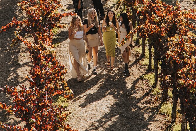 Small Group: Ultimate Napa & Sonoma Wine Tour From San Francisco - Sonoma Wine Tasting