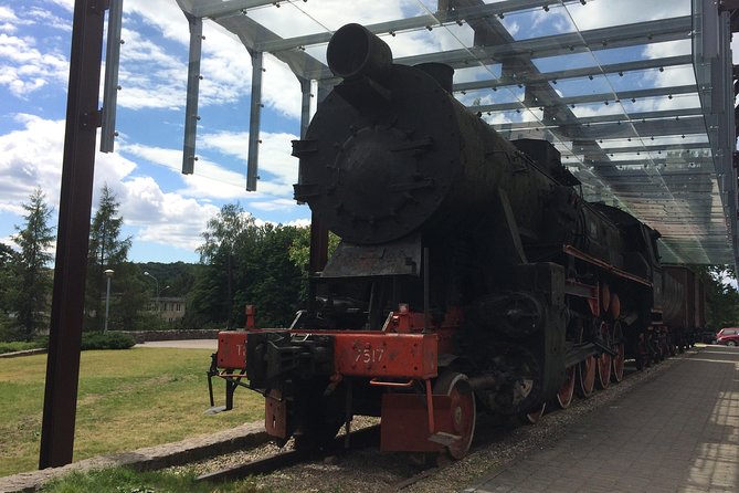 Small-Group Vilnius Half Day City Tour - What To Expect