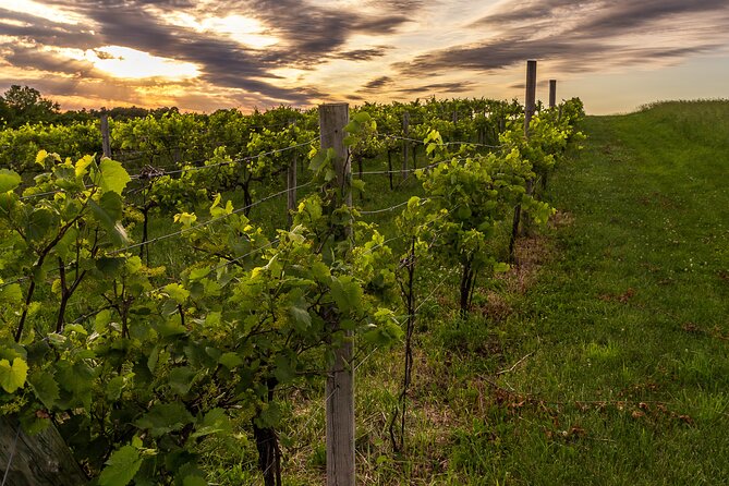 Small-Group Vineyard and Orchard Tour With Wine Tasting in Muscoda - Sampling the Bestselling Wines