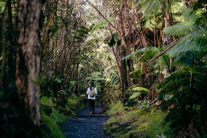 Small Group Volcano Experience With Lunch and Restaurant Dinner - Centralized Pickup Locations