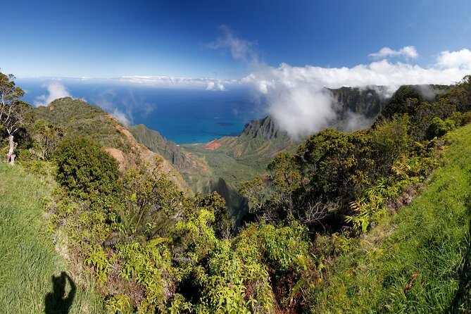 Small-Group Waimea Canyon Adventure Tour & Beyond With Lunch - Feedback and Recommendations