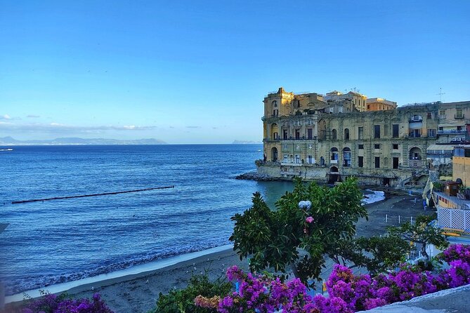 Small-Group Walking Tour of Naples - Pricing and Value