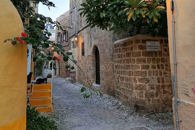 Small Group Walking Tour of Rhodes Old Town From the Cruise Port - Continuous Improvement and Recommendations