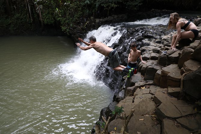 Small Group Waterfall and Rainforest Hiking Adventure on Maui - Additional Information