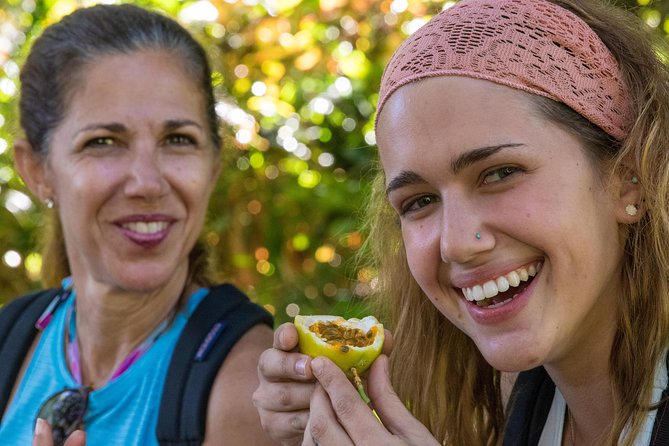 Small Group Waterfall and Rainforest Hiking Adventure on Maui - Reviews