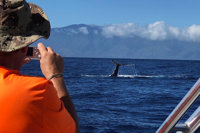 Small-Group Whale Watching Adventure - Customer Reviews and Feedback