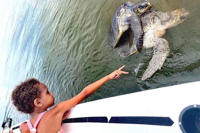 Small Group Wild Dolphin Tour: Swim, Paddle Board and Subwing - Frequently Asked Questions