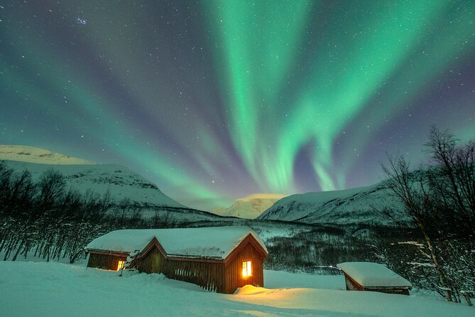 Small-Group Wilderness Husky Sledding 2h Away From Tromsø - Additional Information