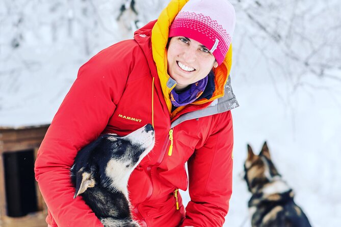 Small-Group Wilderness Husky Sledding 2h Away From Tromsø - Huskies and Sleds