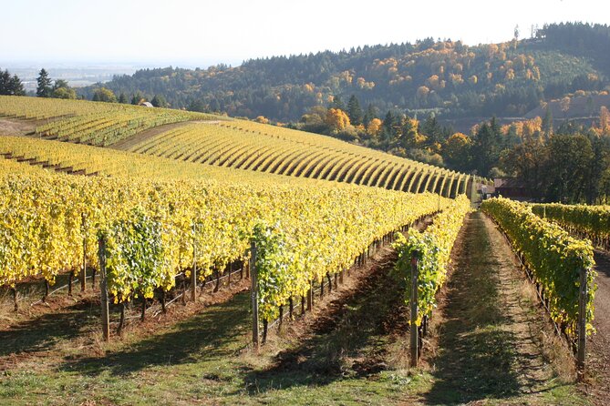 Small Group: Willamette Valley Wine Tour From Portland (Tasting Fees Included) - Packing Wine for Transport