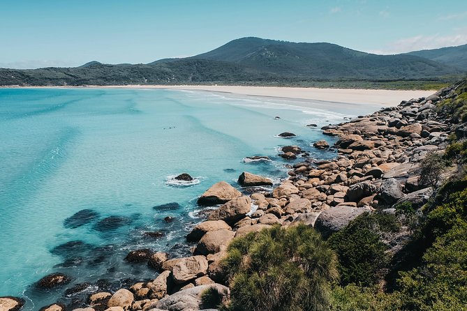 Small Group - Wilsons Promontory Hiking Day Tour From Melbourne - Meeting and Departure Information