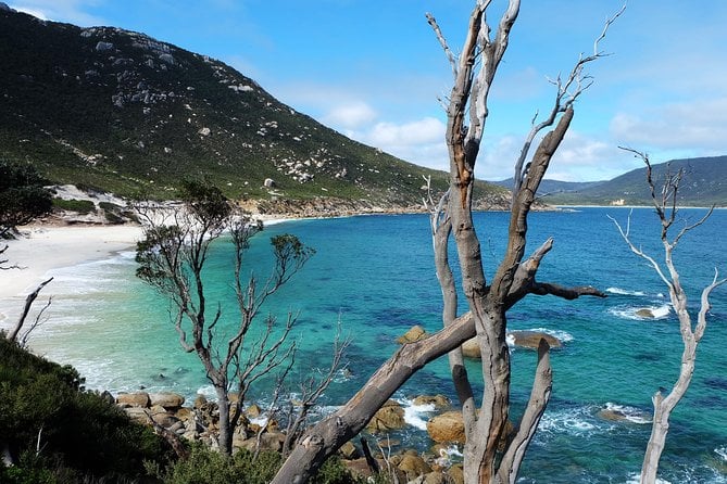 Small Group - Wilsons Promontory Hiking Day Tour From Melbourne - Personalized Experience