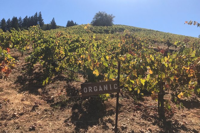 Small-Group Wine Country Tour From San Francisco With Tastings - Sightseeing Stops