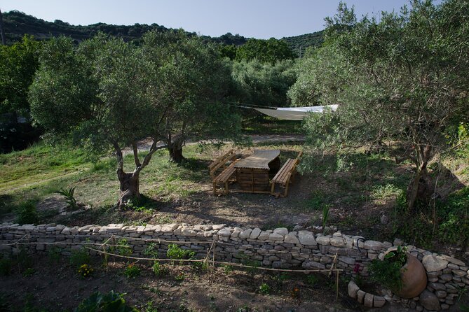 Small-Group Wine Tasting Activity in West Chania - Overview